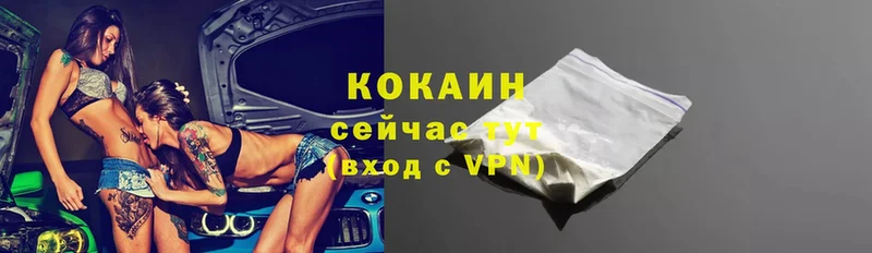 где можно купить   Костомукша  МЕГА маркетплейс  Cocaine VHQ 